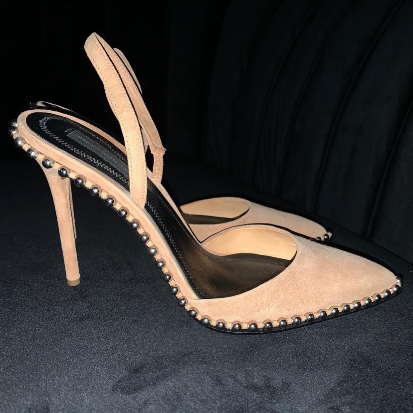 Brand New Alexander Wang Nude Heels